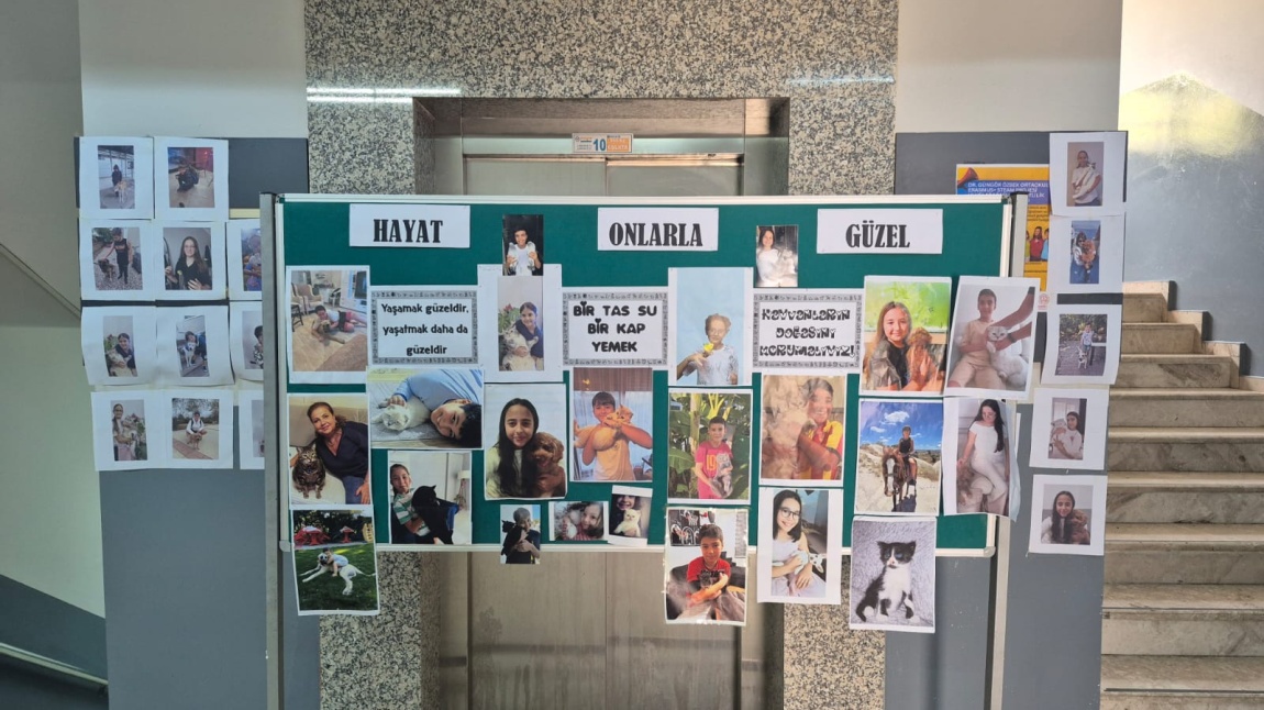 HAYVANLARI KORUMA GÜNÜ PANO ÇALIŞMALARIMIZ